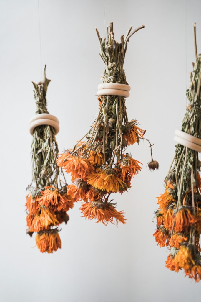 Blumensträuße hängen kopfüber zum Trocknen von der Decke