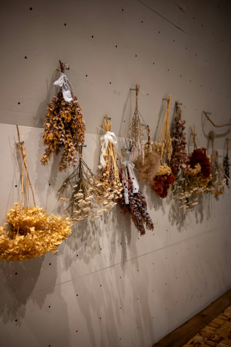 Brautstrauß trocknen: Getrocknete Blumensträuße hängen an einer hellen Wand