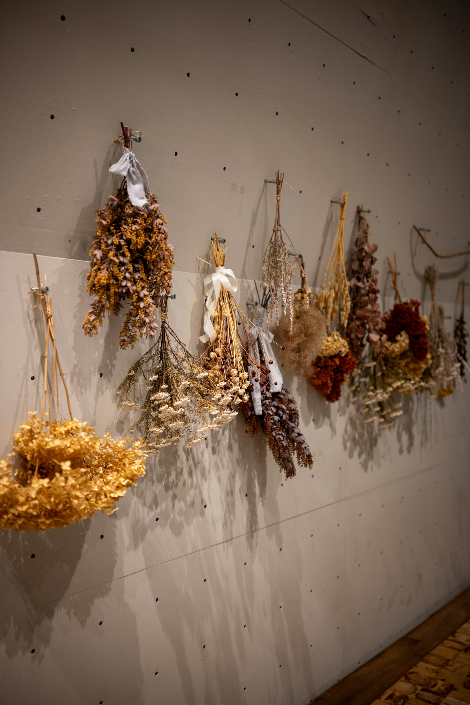 Brautstrauß trocknen: Getrocknete Blumensträuße hängen an einer hellen Wand