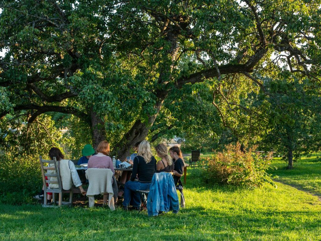 Gäste sitzen gemeinsam an einem langen Tisch unter einem großen Baum im Freien