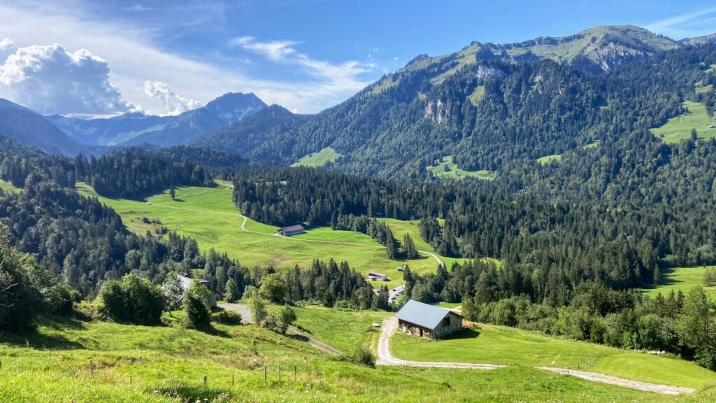 Grüne Wiese vor Bergen unter blauem Himmel im Allgäu